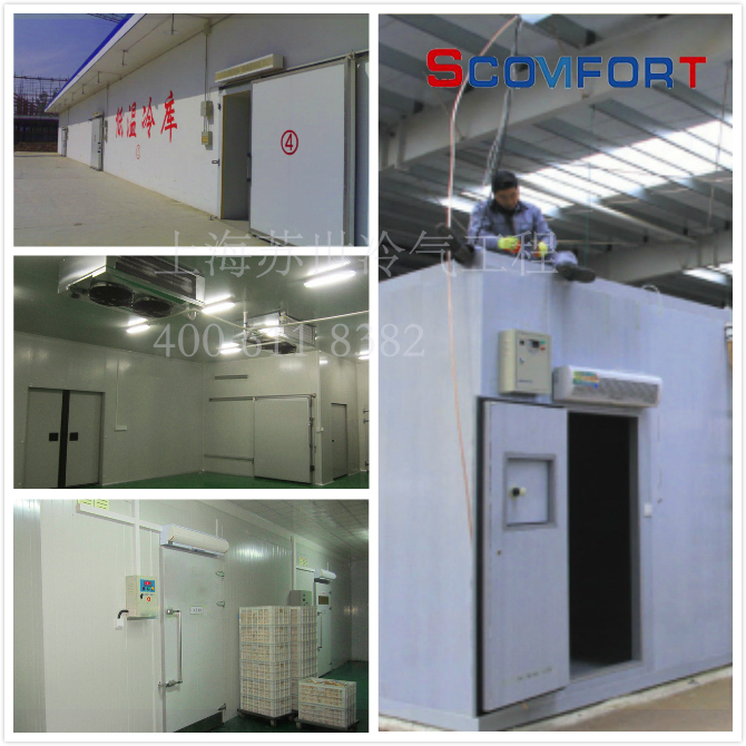 專業冷庫 好品質冷庫在蘇世 上海蘇世歡迎售前咨詢021-66105069