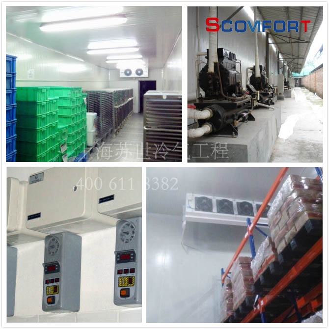 冷庫行業上海蘇世NO1 造冷庫找蘇世021-66105068